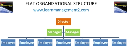 conclusion of organisational structure